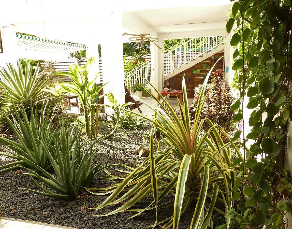 Gites Rose Des Vents Deshaies Bed & Breakfast